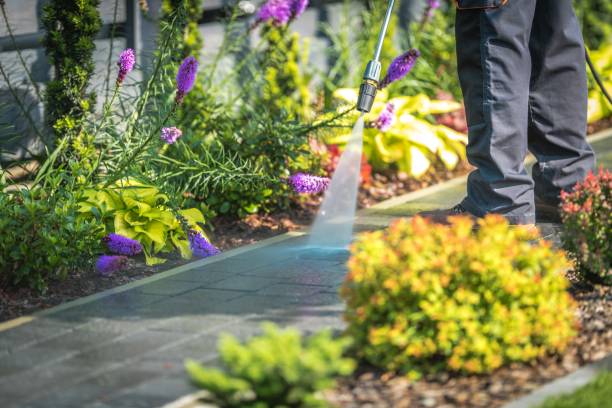 Trusted Quincy, CA Pressure Washing Services Experts