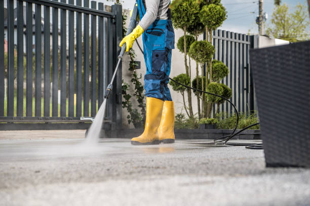 Best Sidewalk and Walkway Cleaning  in Quincy, CA