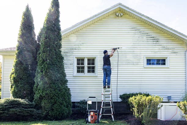 Best Soft Washing  in Quincy, CA